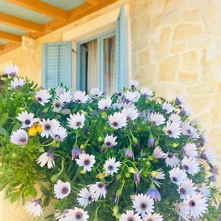Holiday House Mamma Mia Dom wakacyjny